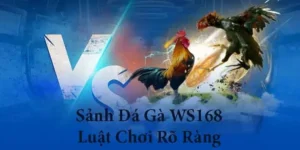 Bật Mí Cách Chơi Đá Gà WS168 Tại 123B Luôn Thắng Cho Tân Thủ