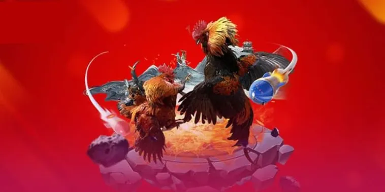 Đá Gà 123B Trực Tiếp Thomo Đỉnh Cao Săn Thưởng Cực Lớn