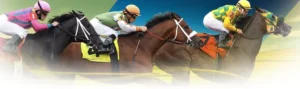 Làm Chủ Đường Đua Với Cá Cược Đua Ngựa 123B Rinh Thưởng Cực Lớn